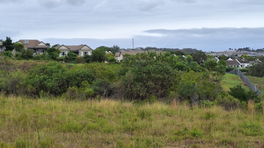 0 Bedroom Property for Sale in Baron View Western Cape